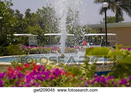 Fountain in a park, Cancun, Mexico View Large Photo Image Stock Photography - Fountain in a park, Cancun, Mexico. Fotosearch