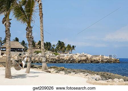 Stock Photograph - High angle view of a person lying in a hammock, Cancun, Mexico. Fotosearch