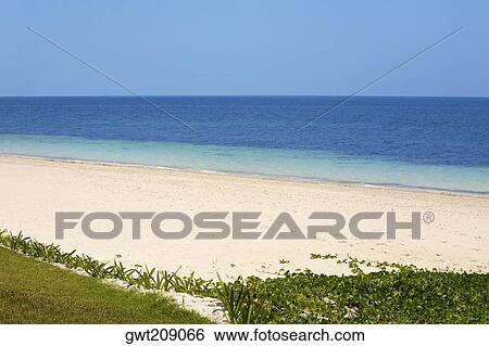 Panoramic view of the sea, Cancun, Mexico View Large Photo Image Stock Photograph - Panoramic view of the sea, Cancun, Mexico. Fotosearch