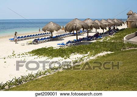 Tourists on the beach, Cancun, Mexico View Large Photo Image Stock Image - Tourists on the beach, Cancun, Mexico. Fotosearch
