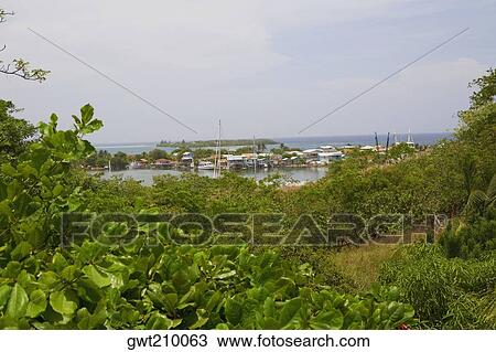 Buildings at a harbor, French Harbour, Roatan, Bay Islands, Honduras View Large Photo Image Stock Image - Buildings at a harbor, French Harbour, Roatan, Bay Islands, Honduras. Fotosearch