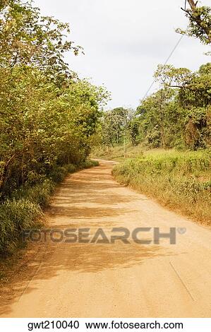 Dirt road passing through a forest, Camp Bay, Roatan, Bay Islands, Honduras View Large Photo Image Stock Image - Dirt road passing through a forest, Camp Bay, Roatan, Bay Islands, Honduras. Fotosearch