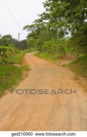 Dirt road passing through a forest, Camp Bay, Roatan, Bay Islands, Honduras View Large Photo Image Stock Image - Dirt road passing through a forest, Camp Bay, Roatan, Bay Islands, Honduras. Fotosearch