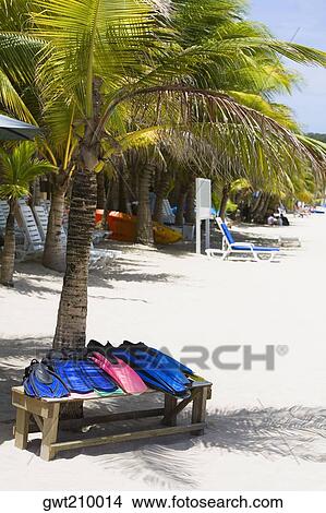 Picture - Flippers on a bench under a palm tree on the beach, West Bay Beach, Roatan, Bay Islands, Honduras. Fotosearch