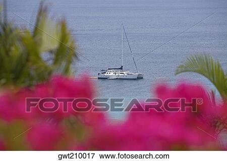 High angle view of a boat in the sea, Roatan, Bay Islands, Honduras View Large Photo Image Stock Photo - High angle view of a boat in the sea, Roatan, Bay Islands, Honduras. Fotosearch