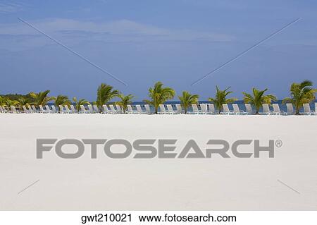 Stock Image - Lounge chairs and palm trees on the beach, Coral Cay, Dixon Cove, Roatan, Bay Islands, Honduras. Fotosearch