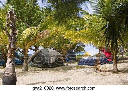Stock Image - Palm trees and tents on the beach, Paya Bay Resort, Roatan, Bay Islands, Honduras. Fotosearch