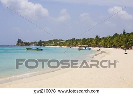 Palm trees on the beach, West Bay Beach, Roatan, Bay Islands, Honduras View Large Photo Image Stock Photo - Palm trees on the beach, West Bay Beach, Roatan, Bay Islands, Honduras. Fotosearch