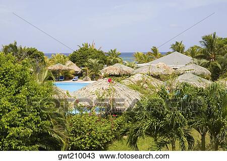 Swimming pool in a tourist resort, Roatan, Bay Islands, Honduras View Large Photo Image Stock Image - Swimming pool in a tourist resort, Roatan, Bay Islands, Honduras. Fotosearch
