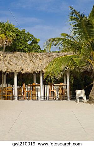 Thatched roof restaurant on the beach, West Bay Beach, Roatan, Bay Islands, Honduras View Large Photo Image Stock Photo - Thatched roof restaurant on the beach, West Bay Beach, Roatan, Bay Islands, Honduras. Fotosearch