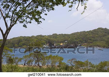 Trees at the riverside, Dixon Cove, Roatan, Bay Islands, Honduras View Large Photo Image Stock Image - Trees at the riverside, Dixon Cove, Roatan, Bay Islands, Honduras. Fotosearch