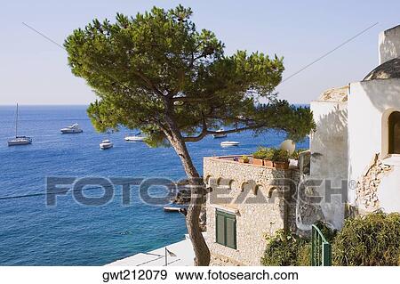 Boats in the sea, Capri, Campania, Italy View Large Photo Image Stock Photo - Boats in the sea, Capri, Campania, Italy. Fotosearch