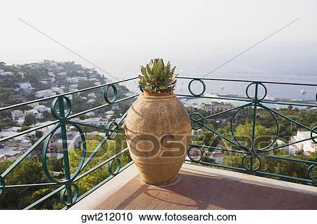 Close-up of a potted plant at the corner of a railing, Capri, Campania, Italy View Large Photo Image Stock Image - Close-up of a potted plant at the corner of a railing, Capri, Campania, Italy. Fotosearch