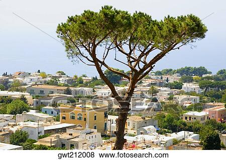 Stock Photo - High angle view of buildings at the waterfront, Capri, Campania, Italy. Fotosearch