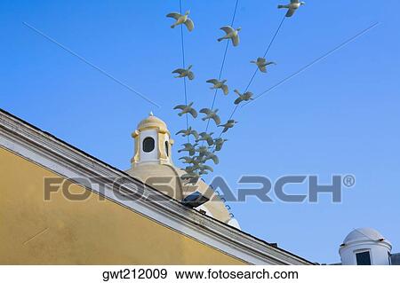 Low angle view of a building, Capri, Campania, Italy View Large Photo Image Stock Photo - Low angle view of a building, Capri, Campania, Italy. Fotosearch