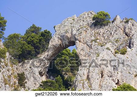 Low angle view of trees near rock formations, Capri, Campania, Italy View Large Photo Image Stock Photograph - Low angle view of trees near rock formations, Capri, Campania, Italy. Fotosearch