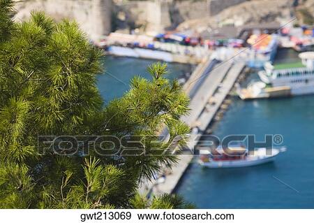 Close-up of a plant with an island in the background, Ephesus, Turkey View Large Photo Image Stock Photo - Close-up of a plant with an island in the background, Ephesus, Turkey. Fotosearch