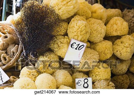 Close-up of price tags on food items, Rhodes, Dodecanese Islands, Greece View Large Photo Image Stock Photo - Close-up of price tags on food items, Rhodes, Dodecanese Islands, Greece. Fotosearch