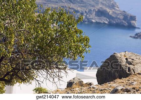 Stock Photo - Rock formations and a tree at the seaside, Rhodes, Dodecanese Islands, Greece. Fotosearch