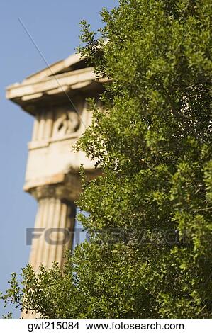 Tree in front of an old ruin, Athens, Greece View Large Photo Image Picture - Tree in front of an old ruin, Athens, Greece. Fotosearch