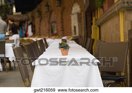 Stock Photo - Potted plants on tables in a restaurant, Istanbul, Turkey. Fotosearch
