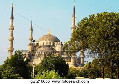 Trees near a mosque, Blue Mosque, Istanbul, Turkey View Large Photo Image Stock Photography - Trees near a mosque, Blue Mosque, Istanbul, Turkey. Fotosearch