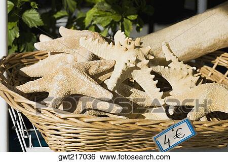 Close-up of starfish in a basket, Greece View Large Photo Image Stock Photograph - Close-up of starfish in a basket, Greece. Fotosearch