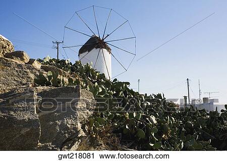 Stock Image - Low angle view of cactus plants in front of a traditional windmill, Mykonos, Cyclades Islands, Greece. Fotosearch