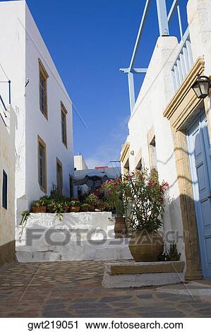 Potted plants in front of buildings, Patmos, Dodecanese Islands, Greece View Large Photo Image Stock Image - Potted plants in front of buildings, Patmos, Dodecanese Islands, Greece. Fotosearch