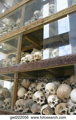 Human skeletons in racks, The Killing Fields, Choeung Ek, Phnom Penh, Cambodia View Large Photo Image Stock Photograph - Human skeletons in racks, The Killing Fields, Choeung Ek, Phnom Penh, Cambodia. Fotosearch