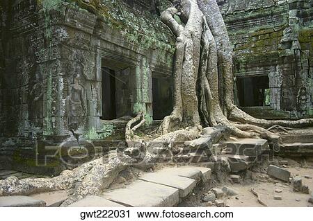 Stock Image - Roots growing over a temple, Angkor Wat, Siem Reap, Cambodia. Fotosearch