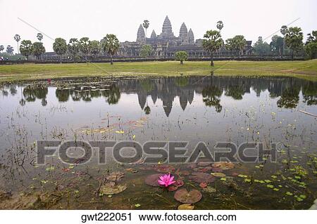 Stock Image - Water lily in a pond with a temple in the background, Angkor Wat, Siem Reap, Cambodia. Fotosearch