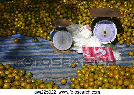 Two weighing scales on a market stall, Luang Prabang, Laos View Large Photo Image Stock Image - Two weighing scales on a market stall, Luang Prabang, Laos. Fotosearch