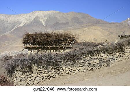 Bushes on a stone wall in front of a mountain, Annapurna Range, Himalayas, Nepal View Large Photo Image Stock Photograph - Bushes on a stone wall in front of a mountain, Annapurna Range, Himalayas, Nepal. Fotosearch