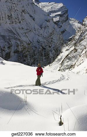 Male hiker walking in a snow covered landscape, Annapurna Range, Himalayas, Nepal View Large Photo Image Stock Photograph - Male hiker walking in a snow covered landscape, Annapurna Range, Himalayas, Nepal. Fotosearch