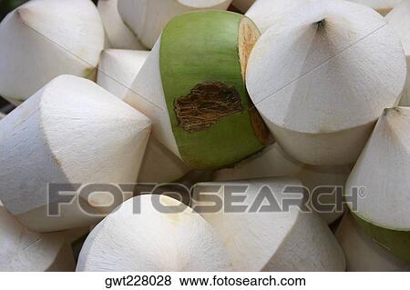 Close-up of a pile of peeled coconuts, Phi Phi Islands, Thailand View Large Photo Image Stock Photo - Close-up of a pile of peeled coconuts, Phi Phi Islands, Thailand. Fotosearch