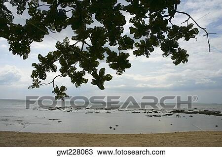 Clouds over a sea, Ko Lanta, Thailand View Large Photo Image Stock Image - Clouds over a sea, Ko Lanta, Thailand. Fotosearch