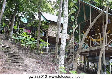 Low angle view of log cabins, Phi Phi Islands, Thailand View Large Photo Image Stock Image - Low angle view of log cabins, Phi Phi Islands, Thailand. Fotosearch