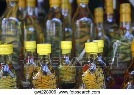 Preserved snakes in jars, Chiang Khong, Thailand View Large Photo Image Stock Photograph - Preserved snakes in jars, Chiang Khong, Thailand. Fotosearch