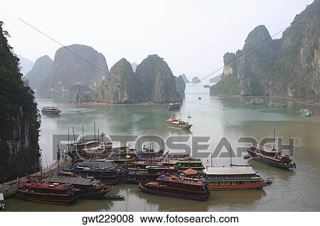 High angle view of tourboats docked at a harbor, Halong Bay, Vietnam View Large Photo Image Stock Photo - High angle view of tourboats docked at a harbor, Halong Bay, Vietnam. Fotosearch