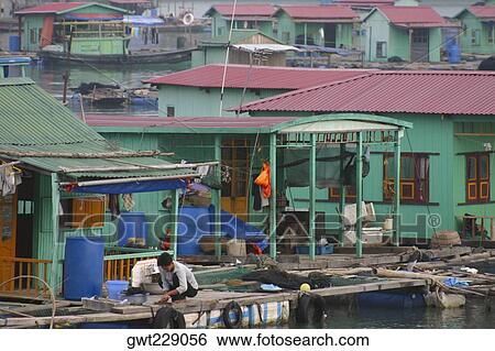 Houses on stilts in a village, Halong Bay, Vietnam View Large Photo Image Stock Photograph - Houses on stilts in a village, Halong Bay, Vietnam. Fotosearch