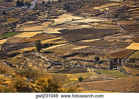 Aerial view of a field, Chivay, Arequipa, Peru View Large Photo Image Stock Photo - Aerial view of a field, Chivay, Arequipa, Peru. Fotosearch