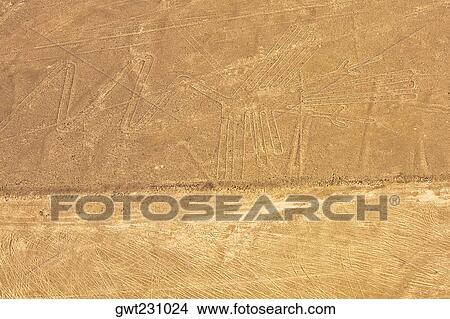 Aerial view of Nazca lines representing a gannet in a desert, Nazca, Peru View Large Photo Image Picture - Aerial view of Nazca lines representing a gannet in a desert, Nazca, Peru. Fotosearch