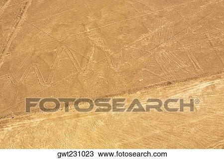 Aerial view of Nazca lines representing a gannet, Nazca, Peru View Large Photo Image Stock Image - Aerial view of Nazca lines representing a gannet, Nazca, Peru. Fotosearch