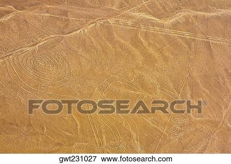 Aerial view of nazca lines representing a monkey, Nazca, Peru View Large Photo Image Stock Photo - Aerial view of nazca lines representing a monkey, Nazca, Peru. Fotosearch