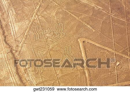Aerial view of Nazca lines representing a spider, Nazca, Peru View Large Photo Image Stock Photo - Aerial view of Nazca lines representing a spider, Nazca, Peru. Fotosearch