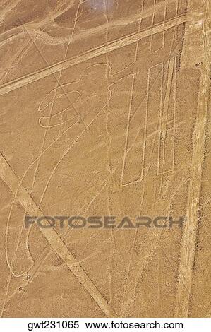 Aerial view of Nazca lines representing a parrot in a desert, Nazca, Peru View Large Photo Image Stock Photography - Aerial view of Nazca lines representing a parrot in a desert, Nazca, Peru. Fotosearch