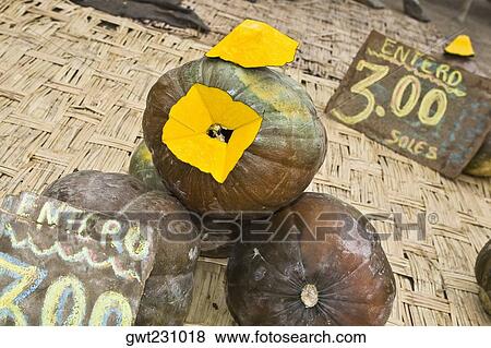 Close-up of pumpkins at a market stall, Ica, Ica Region, Peru View Large Photo Image Stock Photo - Close-up of pumpkins at a market stall, Ica, Ica Region, Peru. Fotosearch