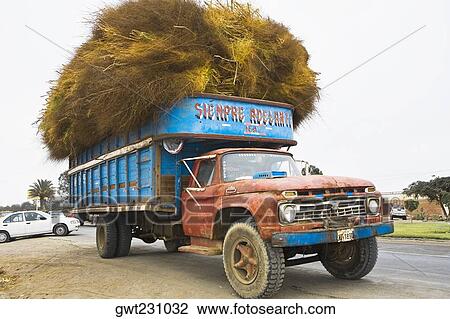 Hay loaded in a truck, Ica, Ica Region, Peru View Large Photo Image Stock Image - Hay loaded in a truck, Ica, Ica Region, Peru. Fotosearch