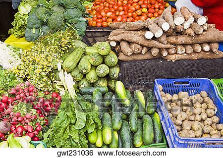 High angle view of assorted vegetables at a market stall, Ica, Ica Region, Peru View Large Photo Image Stock Photograph - High angle view of assorted vegetables at a market stall, Ica, Ica Region, Peru. Fotosearch
